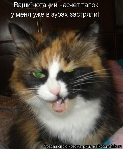 Котоматрица: Ваши нотации насчёт тапок у меня уже в зубах застряли!