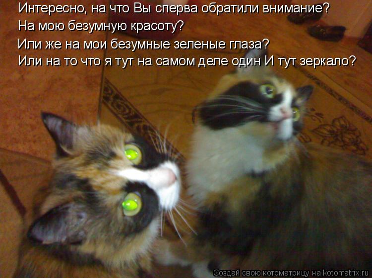 Котоматрица: Интересно, на что Вы сперва обратили внимание? На мою безумную красоту? Или же на мои безумные зеленые глаза? Или на то что я тут на самом дел