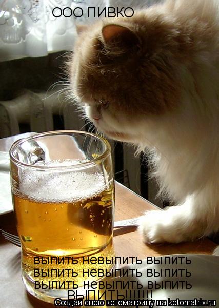 Котоматрица: ООО ПИВКО  выпить невыпить выпить  выпить невыпить выпить  выпить невыпить выпить  ВЫПИТЬ!!!!!!!