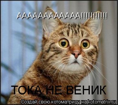 Котоматрица: АААААААААААА!!!!!!!!!!! ТОКА НЕ ВЕНИК