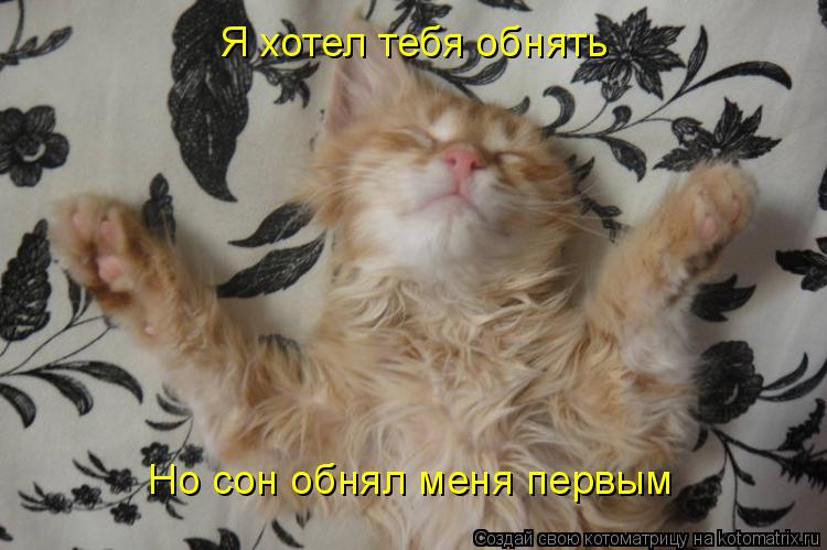Но сон обнял меня первым Я хотел тебя обнять... Котоматрица: Но сон обнял меня первым Я хотел тебя обнять