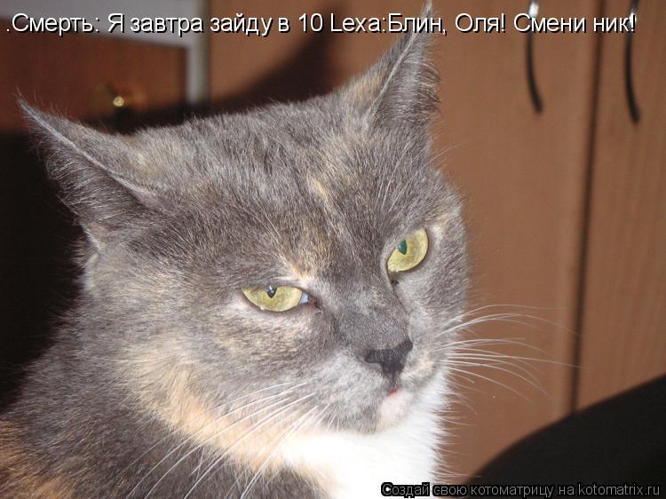 Котоматрица: ¦Смерть: Я завтра зайду в 10 Lexa:Блин, Оля! Смени ник!