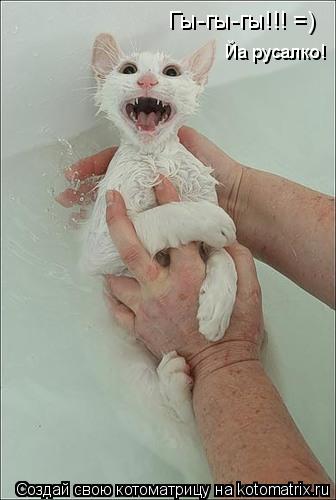 Котоматрица: Гы-гы-гы!!! =) Йа русалко!