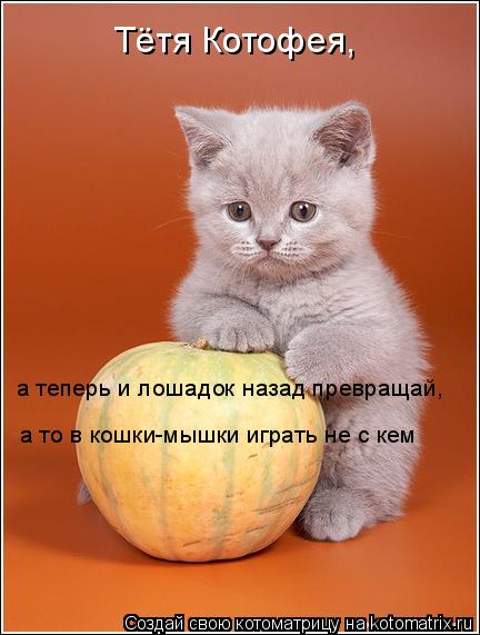 Тётя Котофея, а теперь и лошадок назад превращай, а то в кошки-мышки играть не с кем... Котоматрица: Тётя Котофея, а теперь и лошадок назад превращай, а то в кошки-мышки играть не с кем