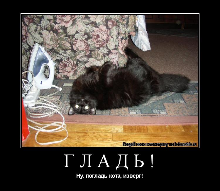 Котоматрица: ГЛАДЬ! Ну, погладь кота, изверг!