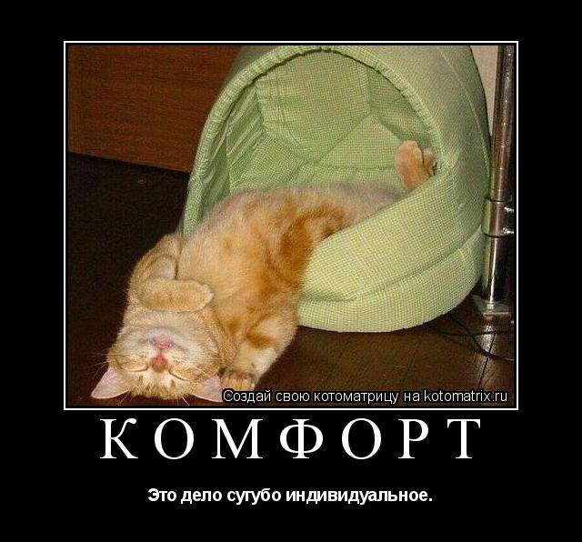 Котоматрица: Комфорт Это дело сугубо индивидуальное.