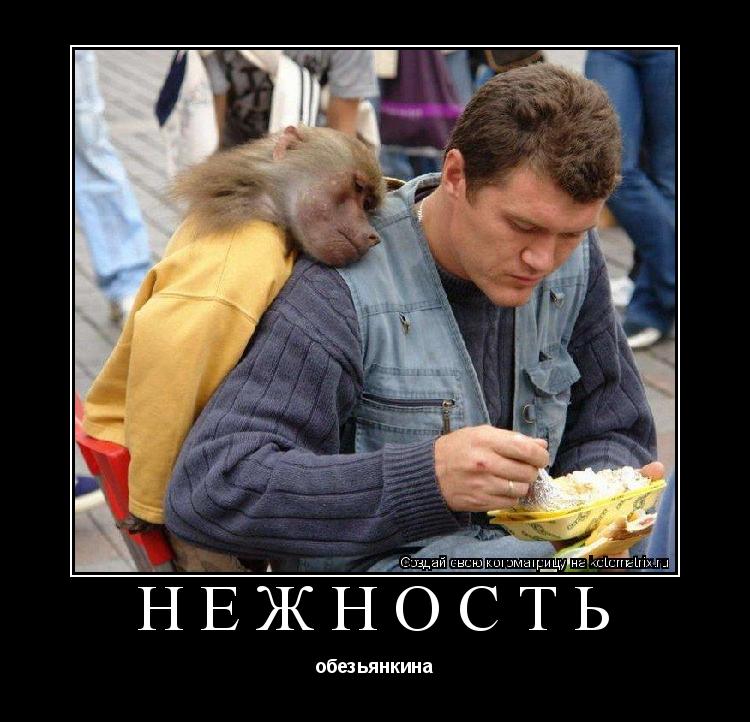 Котоматрица: НЕЖНОСТЬ обезьянкина