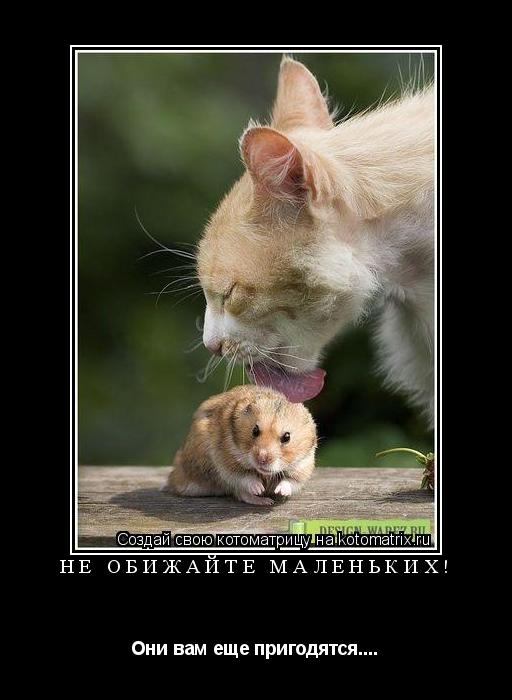 Котоматрица: Не обижайте маленьких! Они вам еще пригодятся....