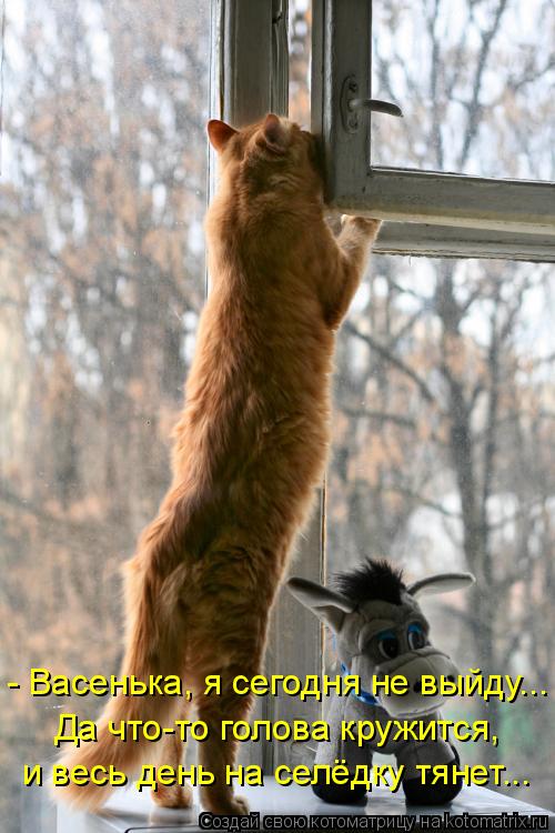 - Васенька, я сегодня не выйду... Да что-то голова кружится, и весь день на селёдку тянет...... Котоматрица: - Васенька, я сегодня не выйду... Да что-то голова кружится, и весь день на селёдку тянет...