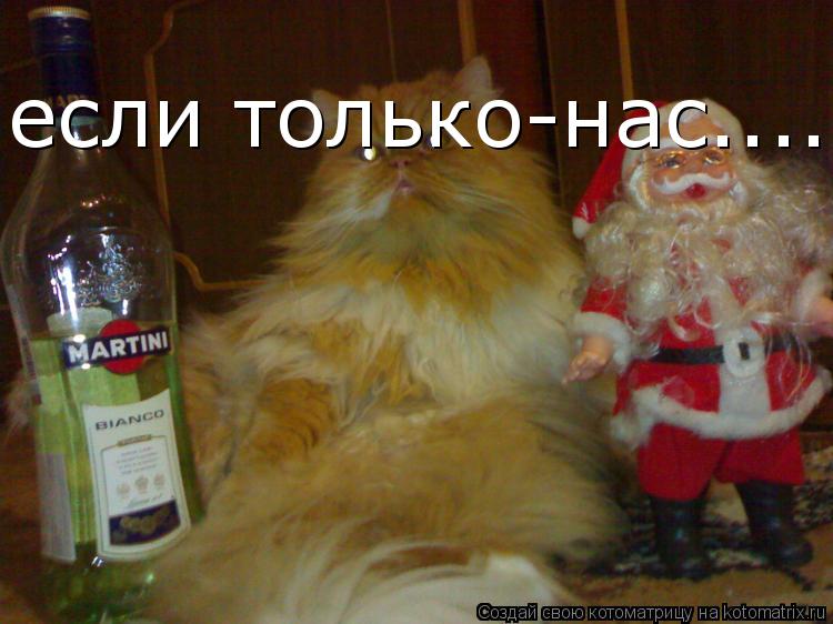 Котоматрица: если только-нас.......