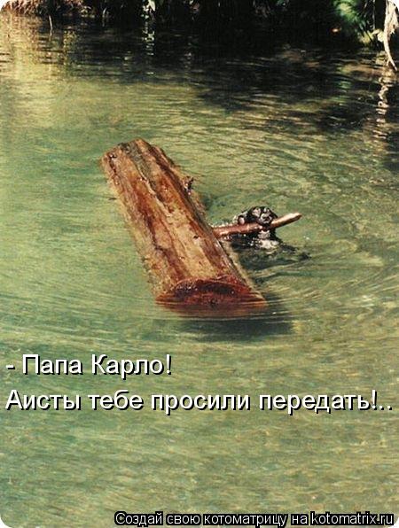 Котоматрица: - Папа Карло!   Аисты тебе просили передать!..