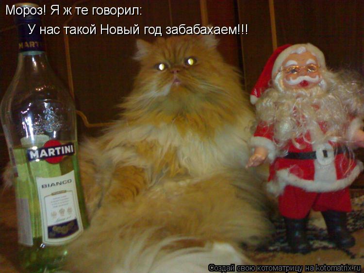Котоматрица: Мороз! Я ж те говорил: У нас такой Новый год забабахаем!!!