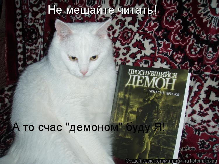 Котоматрица: Не мешайте читать! А то счас "демоном" буду Я!