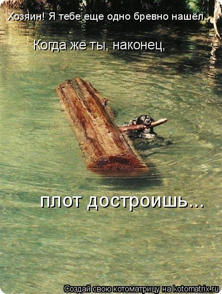 Котоматрица: Когда же ты, наконец,  плот достроишь... Хозяин! Я тебе еще одно бревно нашёл..