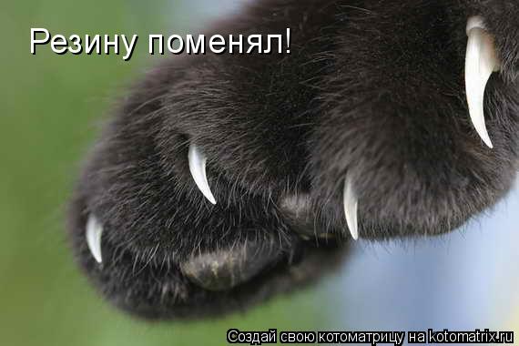 Котоматрица: Резину поменял!