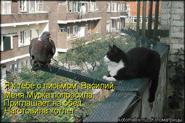 Я к тебе с письмом, Василий, Меня Мурка попросила. Приглашает на обед Наготовила котлет... Котоматрица: Я к тебе с письмом, Василий, Меня Мурка попросила. Приглашает на обед Наготовила котлет