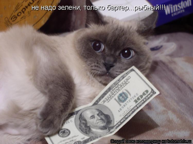 Котоматрица: не надо зелени, только бартер...рыбный!!!