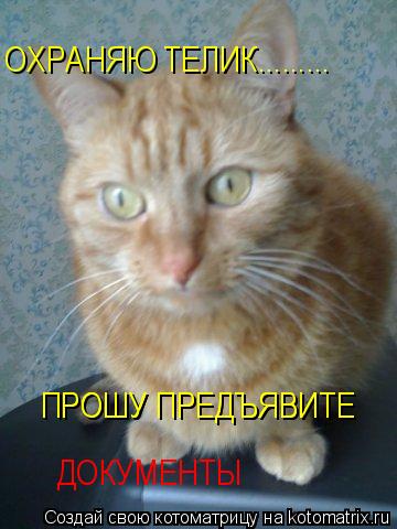 Котоматрица: ОХРАНЯЮ ТЕЛИК......... ПРОШУ ПРЕДЪЯВИТЕ  ПРОШУ ПРЕДЪЯВИТЕ  ДОКУМЕНТЫ