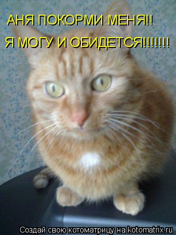 Котоматрица: АНЯ ПОКОРМИ МЕНЯ!! Я МОГУ И ОБИДЕТСЯ!!!!!!! Я МОГУ И ОБИДЕТСЯ!!!!!!!