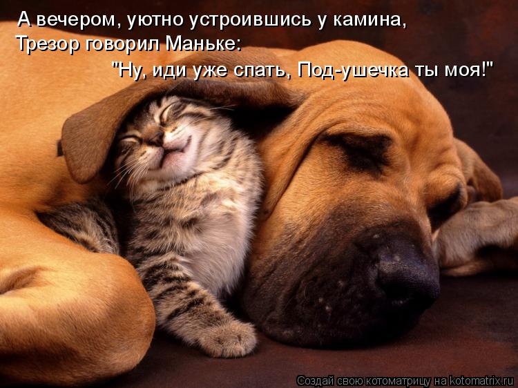 Котоматрица: А вечером, уютно устроившись у камина,  Трезор говорил Маньке:  "Ну, иди уже спать, Под-ушечка ты моя!"