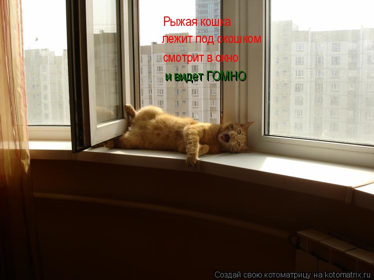 Котоматрица: Рыжая кошка лежит под окошком смотрит в окно и видет ГОМНО