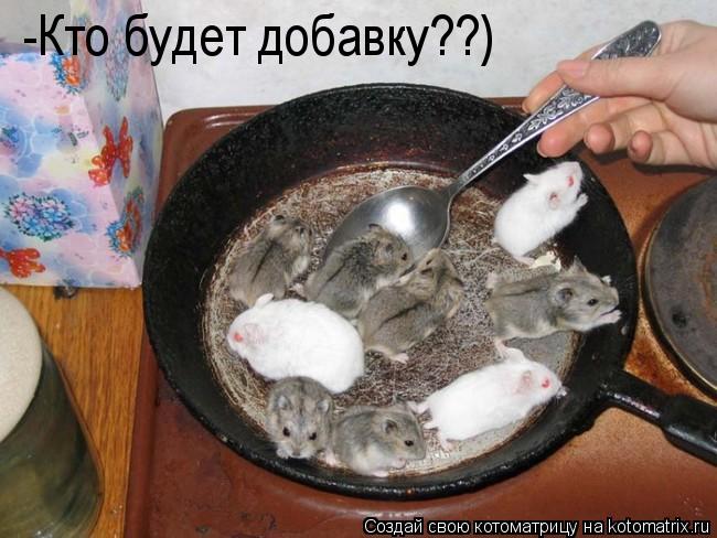 Котоматрица: -Кто будет добавку??)