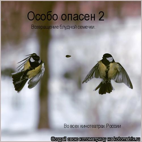 Котоматрица: Особо опасен 2 Возвращение блудной семечки.. Во всех кинотеатрах России