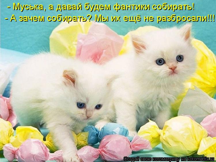- Муська, а давай будем фантики собирать! - А зачем собирать? Мы их ещё не разбросали!!!... Котоматрица: - Муська, а давай будем фантики собирать! - А зачем собирать? Мы их ещё не разбросали!!!