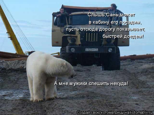 Котоматрица: Слышь,Сань,может  в кабину его посадим, пусть отсюда дорогу показывает, быстрей доедем! А мне,мужики,спешить некуда!