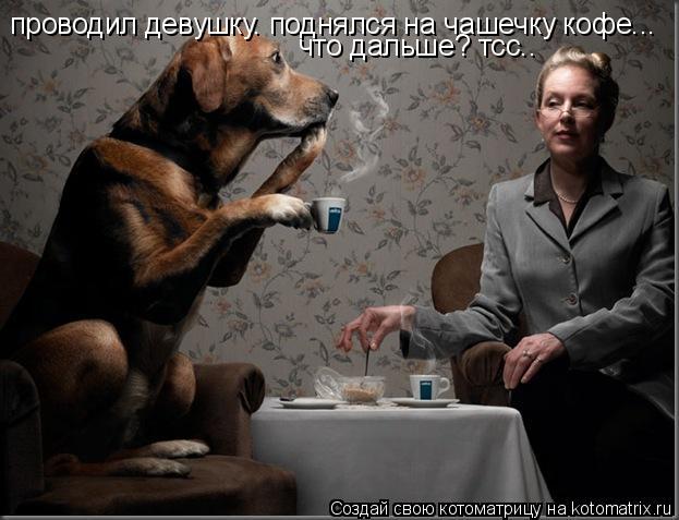 Котоматрица: проводил девушку. поднялся на чашечку кофе... что дальше? тсс..