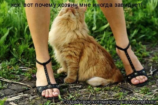 Котоматрица: хех. вот почему хозяин мне иногда завидует!