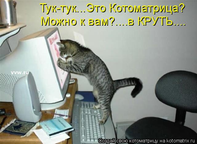 Котоматрица: Тук-тук...Это Котоматрица? Можно к вам?....в КРУТЬ....