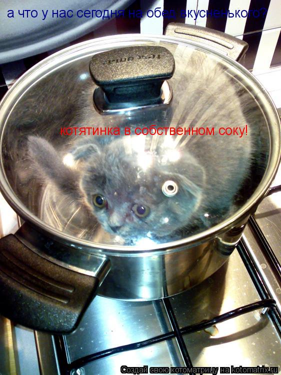 Котоматрица: а что у нас сегодня на обед вкусненького? котятинка в собственном соку!