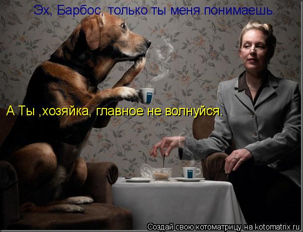 Котоматрица: Эх, Барбос, только ты меня понимаешь. А Ты ,хозяйка, главное не волнуйся.