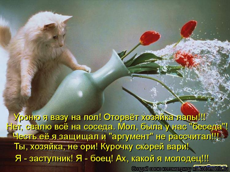 Котоматрица: Уроню я вазу на пол! Оторвёт хозяйка лапы!!! Нет, свалю всё на соседа. Мол, была у нас "беседа"! Честь её я защищал и "аргумент" не рассчитал!!! Ты, 