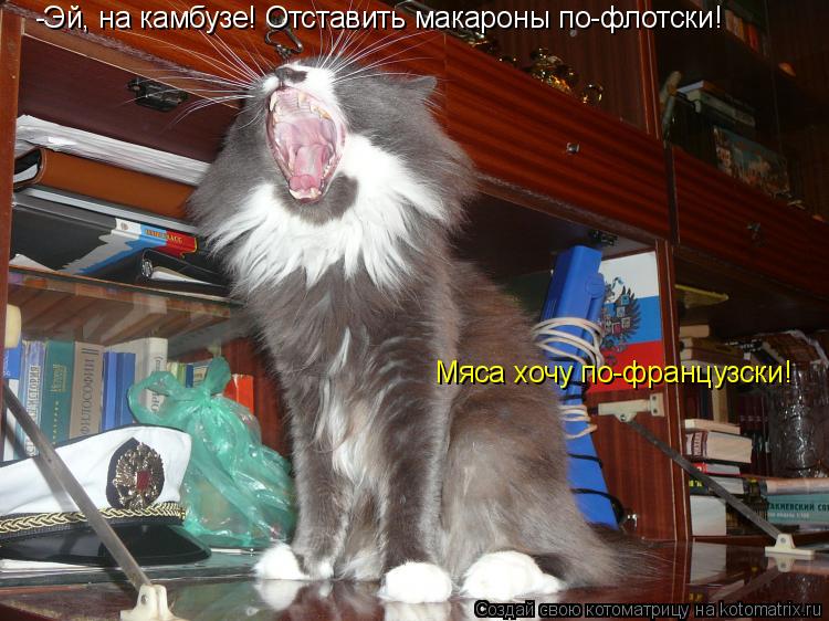 Котоматрица: -Эй, на камбузе! Отставить макароны по-флотски! Мяса хочу по-французски!