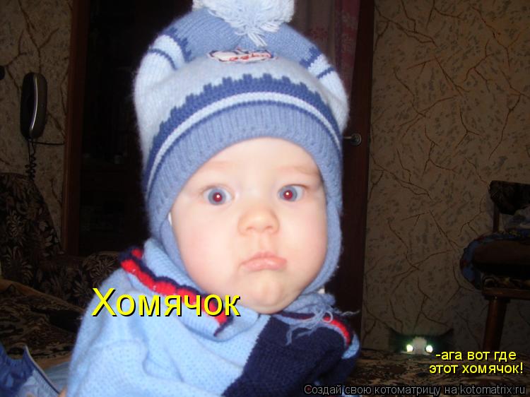 Котоматрица: Хомячок  -ага вот где  этот хомячок!