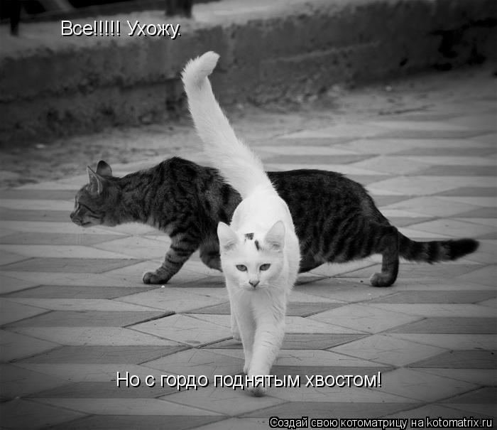 Котоматрица: Все!!!!! Ухожу.  Но с гордо поднятым хвостом!
