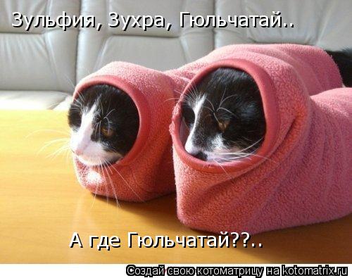 Котоматрица: Зульфия, Зухра, Гюльчатай.. А где Гюльчатай??..