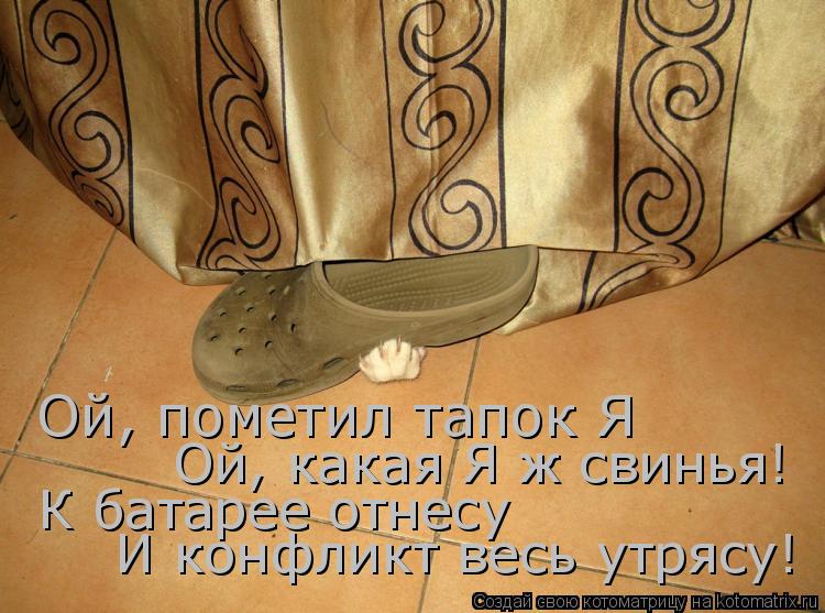 Котоматрица: Ой, пометил тапок Я Ой, какая Я ж свинья! К батарее отнесу И конфликт весь утрясу!