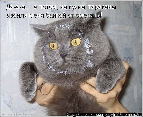 избили меня банкой от сметаны! Да-а-а... а потом, на кухне, тараканы... Котоматрица: избили меня банкой от сметаны! Да-а-а... а потом, на кухне, тараканы