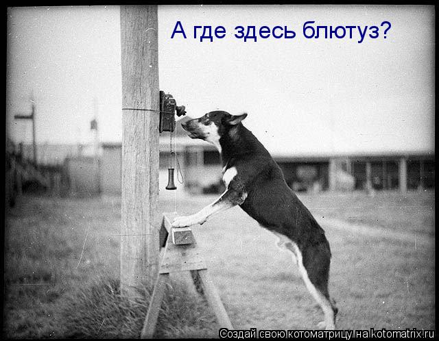 Котоматрица: А где здесь блютуз?
