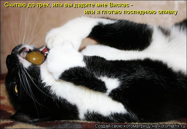 Котоматрица: Считаю до трех, или вы дадите мне Вискас -  или я глотаю последнюю оливку