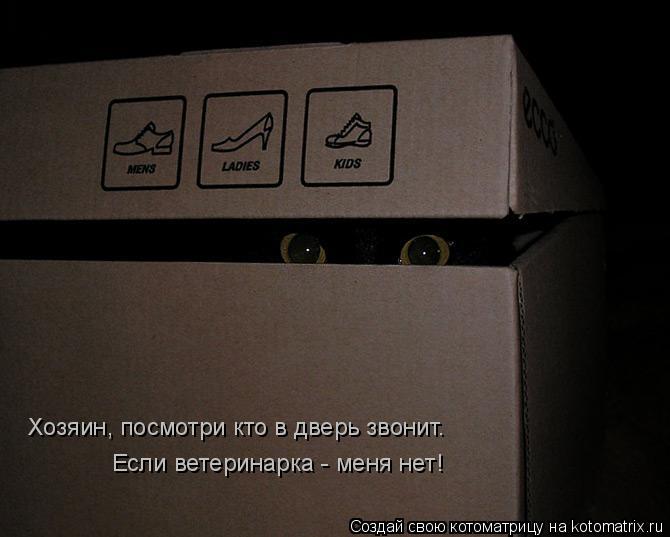 Котоматрица: Хозяин, посмотри кто в дверь звонит. Если ветеринарка - меня нет!