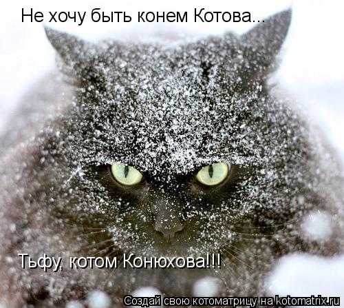 Котоматрица: Не хочу быть конем Котова... Тьфу, котом Конюхова!!!