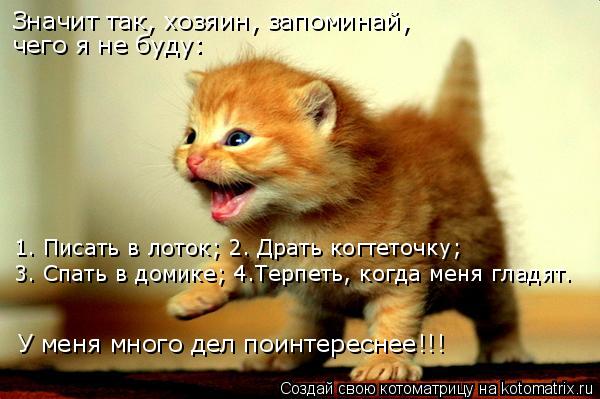 Значит так, хозяин, запоминай, чего я не буду: 1. Писать в лоток; 2. Драть когтеточку; 3. Спать в дом... Котоматрица: Значит так, хозяин, запоминай, чего я не буду: 1. Писать в лоток; 2. Драть когтеточку; 3. Спать в домике; 4.Терпеть, когда меня гладят. У меня много