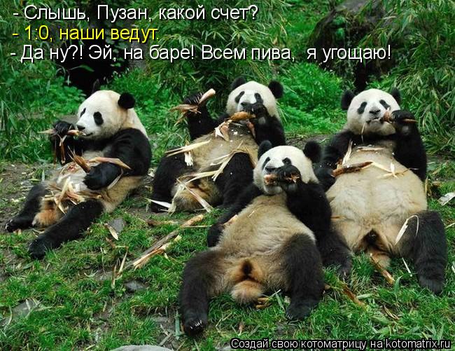 Котоматрица: - Слышь, Пузан, какой счет? - 1:0, наши ведут. - Да ну?! Эй, на баре! Всем пива,  я угощаю!