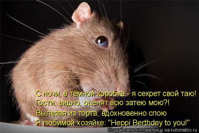 Котоматрица: Я любимой хозяйке: "Heppi Berthdey to you!" Вылезая из торта, вдохновенно спою С ночи, в тёмной коробке - я секрет свой таю! Гости, видно, оценят всю 