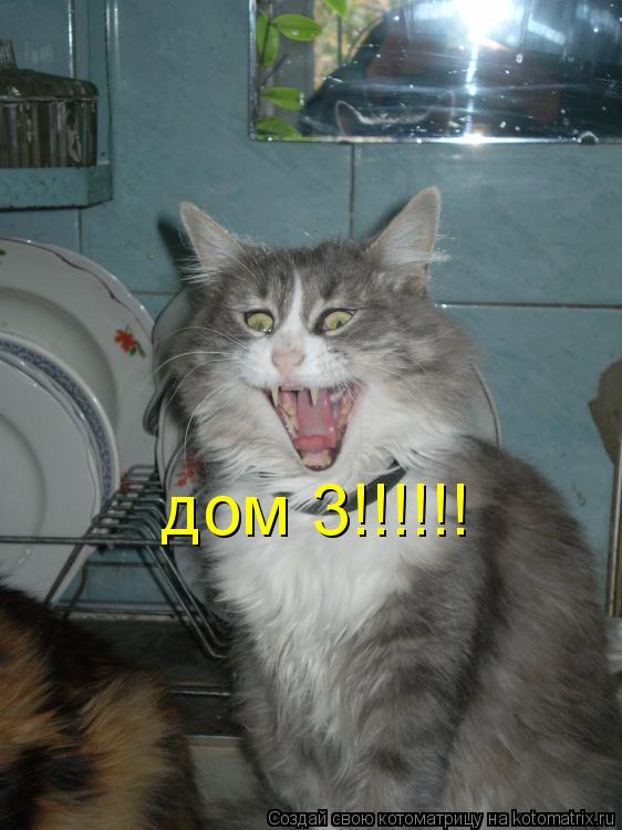 дом 3!!!!!!... Котоматрица: дом 3!!!!!!
