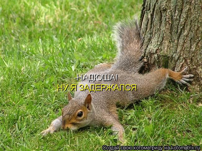 -НАДЮША! НУ Я ЗАДЕРЖАЛСЯ... Котоматрица: -НАДЮША! НУ Я ЗАДЕРЖАЛСЯ